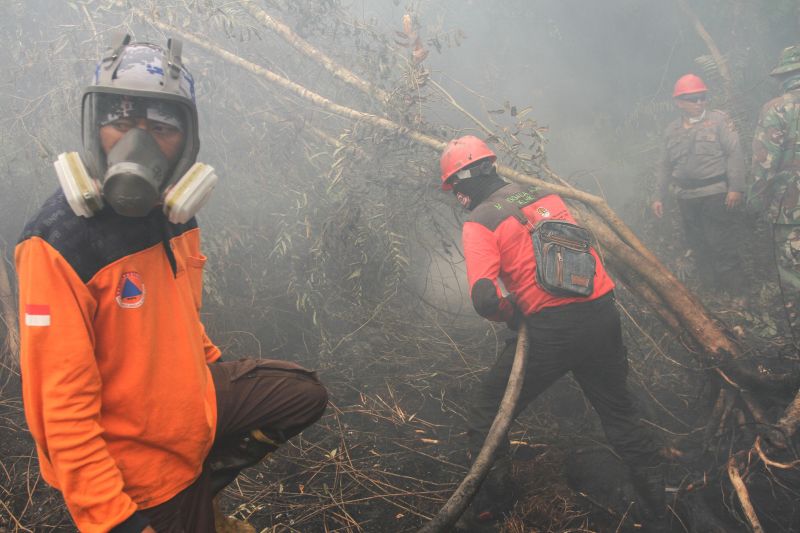 Titik Api Meningkat Di Kalimantan Dan Sumatera Selatan