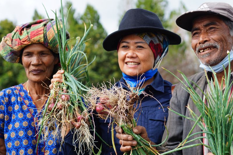 Food Estate Realisasikan Kemandirian Pangan Indonesia