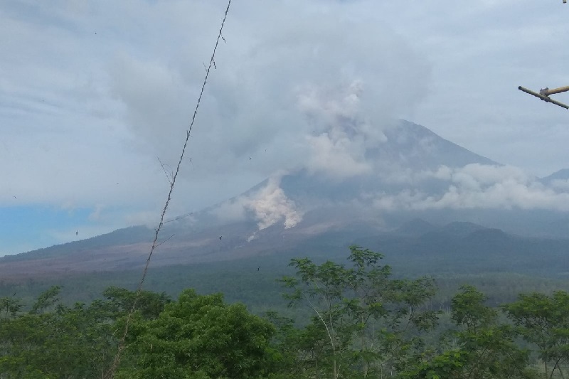 Gunung Semeru Kembali Luncurkan Awan Panas Guguran