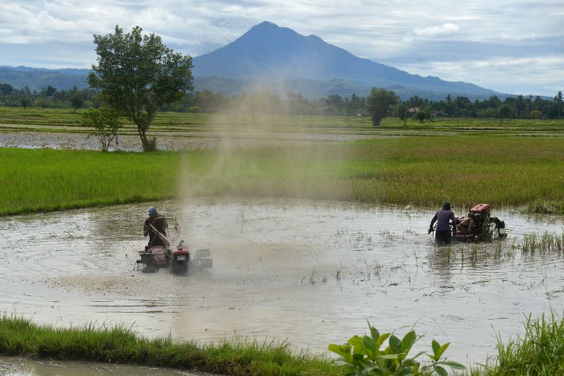 Dana Desa Kian Rawan Dikorupsi Pascarevisi UU Desa