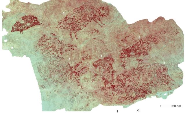 Lukisan babi dan sosok mirip manusia di gua Leang Karampuang, kawasan batuan kapur Maros-Pangkep, Sulawesi Selatan./Foto Adhi Agus Oktaviana dkk/jurnal Nature, 2024