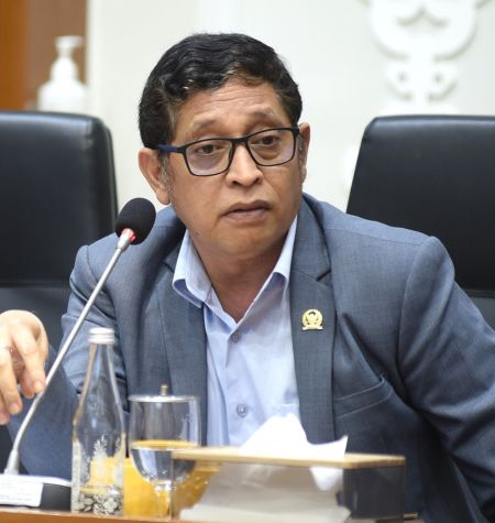 DPR ungkap RUU Statistik bahas Dewan Pengawas BPS