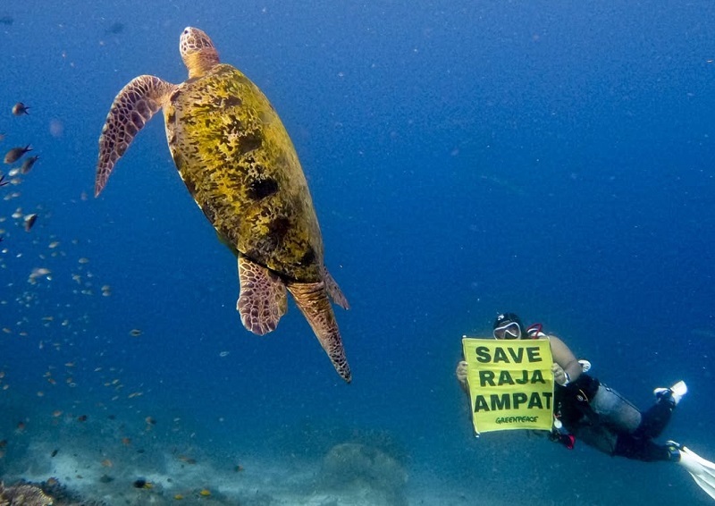 Dari Gag hingga Enggano: Nestapa pulau-pulau kecil yang "diabaikan" negara