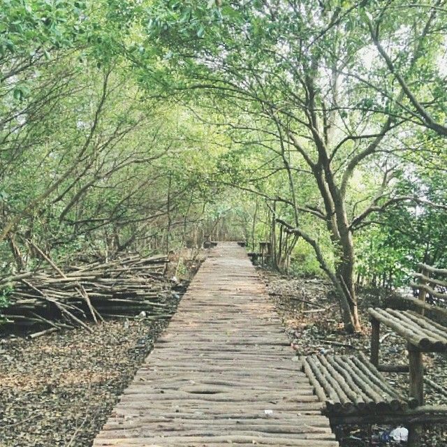Taman-taman di Jakarta yang bisa jadi pilihan <i>silent walking</i>
