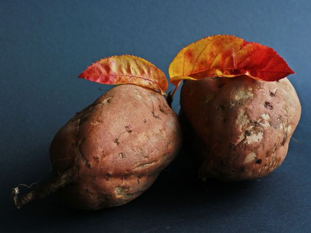 Manfaat mengejutkan mengonsumsi ubi jalar