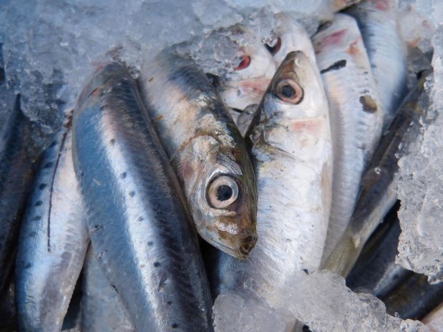 Jenis ikan yang bisa meningkatkan kesuburan