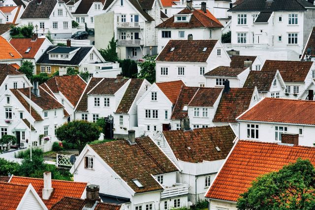 Dekorasi alam yang bisa melengkapi desain rumah tropis