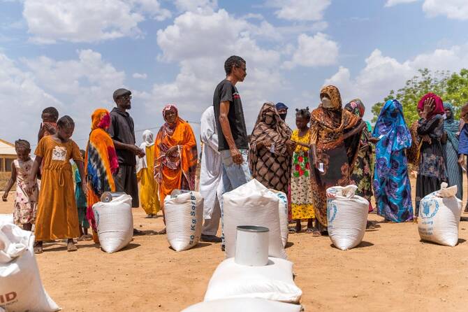 Tanaman liar pun menjadi makanan warga Sudan yang kelaparan