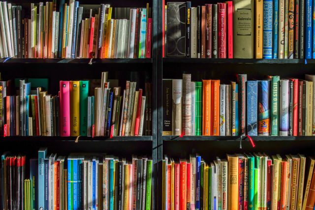 Referensi buku karya Paulo Freire untuk pendidikan yang lebih manusiawi