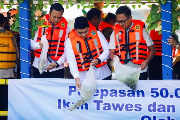 Tingkatkan perekonomian warga, Gubernur Jateng dampingi Wapres tebar 50 ribu benih ikan di Rowo Jombor