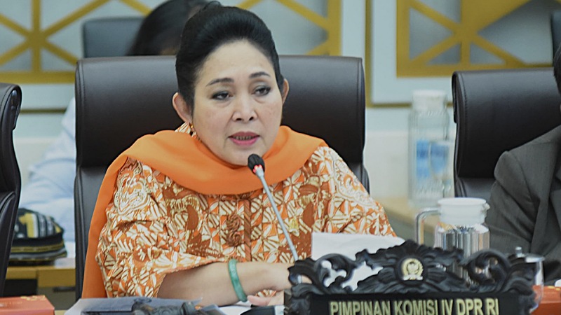 DPR dorong pengawasan pengusaha dan reformasi kehutanan