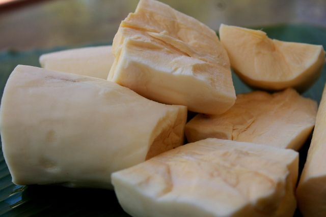 Manfaat penting mengonsumsi singkong