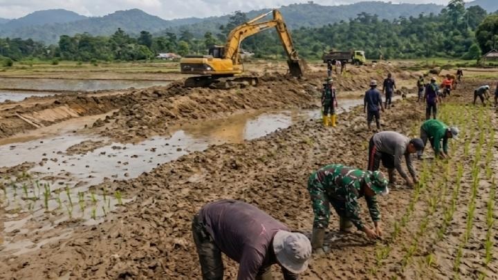 Puluhan ribu hektare sawah terdampak kembali produktif