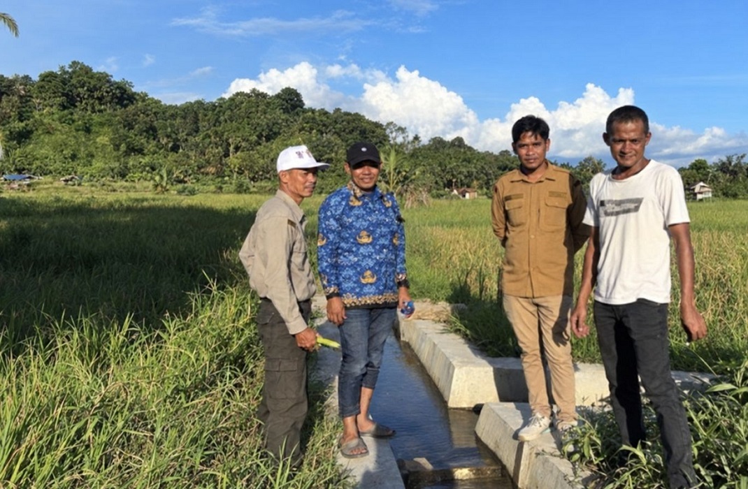 Sambut musim tanam, pemulihan sawah Kota Subulussalam dipercepat