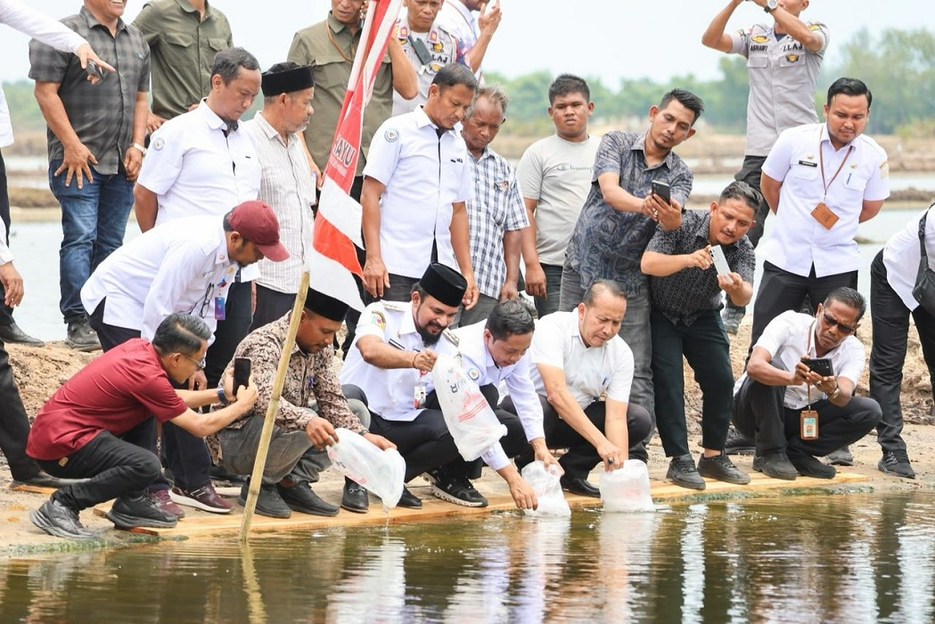 5 gampong di Aceh Timur terima 4,2 juta benur untuk pulihkan tambak pascabencana