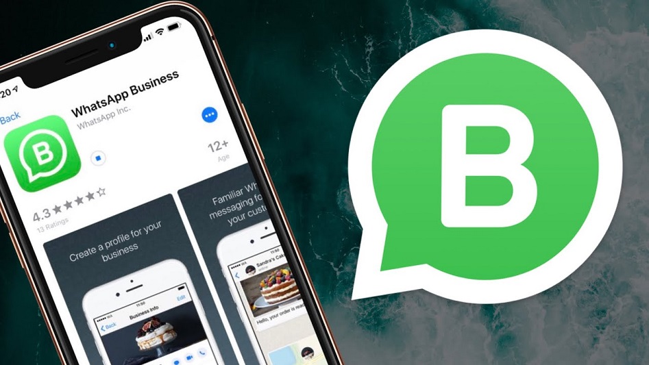 whatsapp bisnis